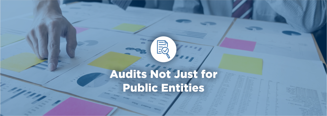 Audits not just for Public entities